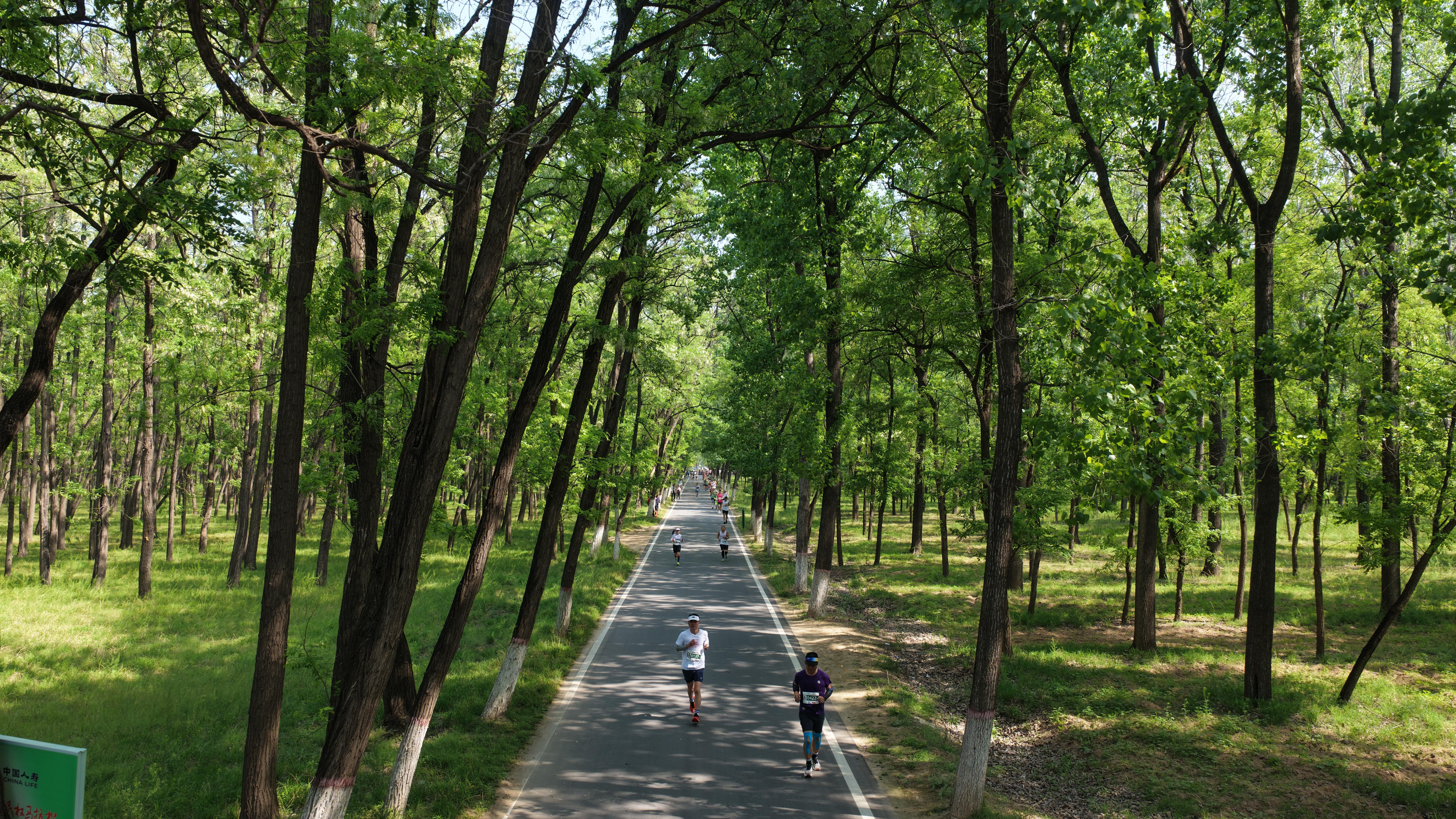 九游娱乐-万亩林海藏“神仙赛道”，民权马拉松绘就城市新画卷